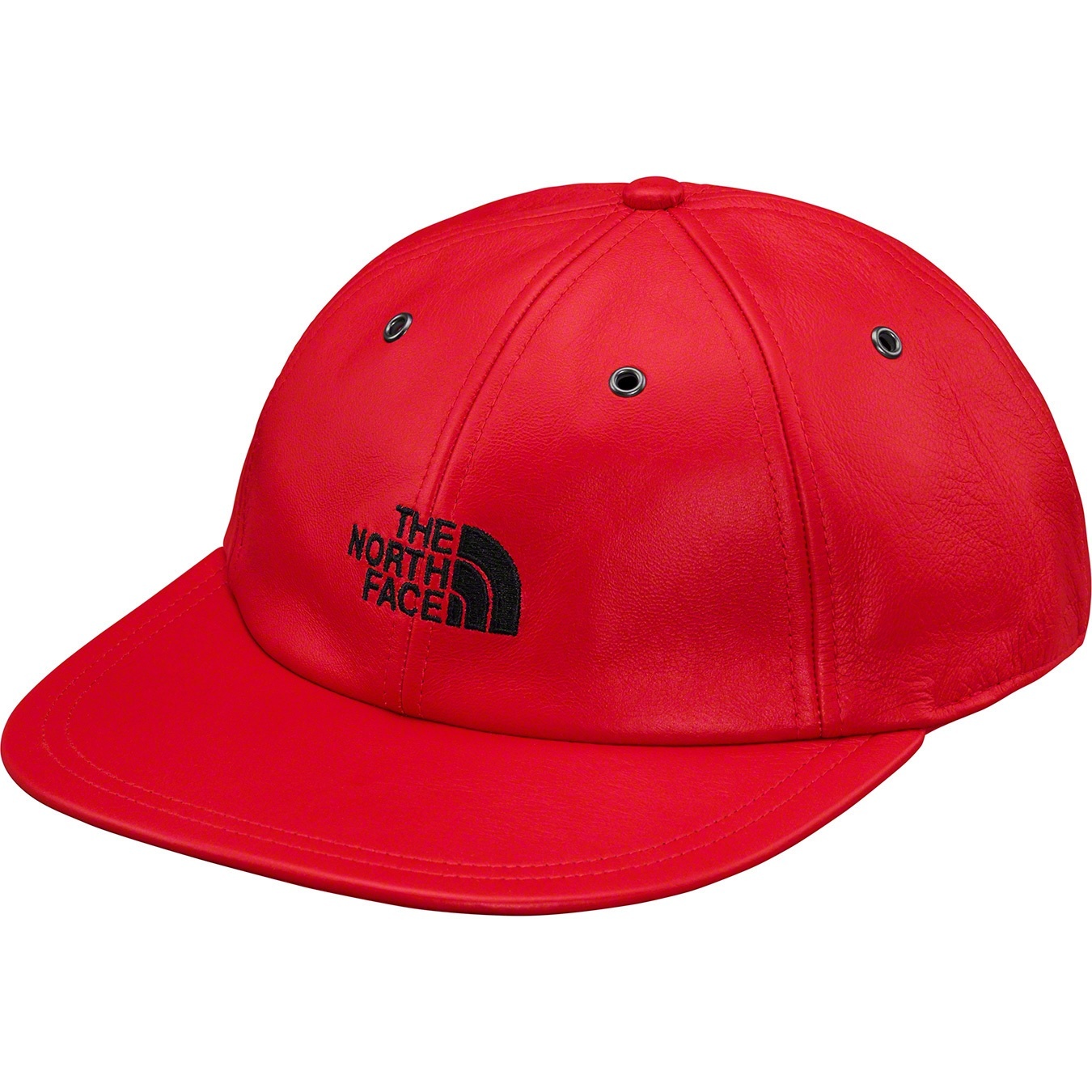 Supreme®/The North Face® Leather 6-Panel view 4